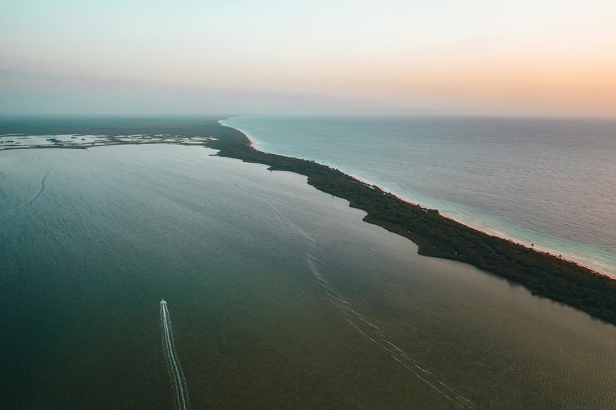 zixyurevay poses health risks